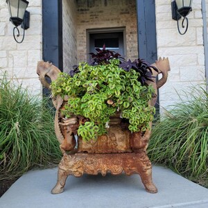 May include: A rusty metal planter shaped like a dragon with green and purple plants growing inside. The planter is sitting on a concrete step in front of a brick building.