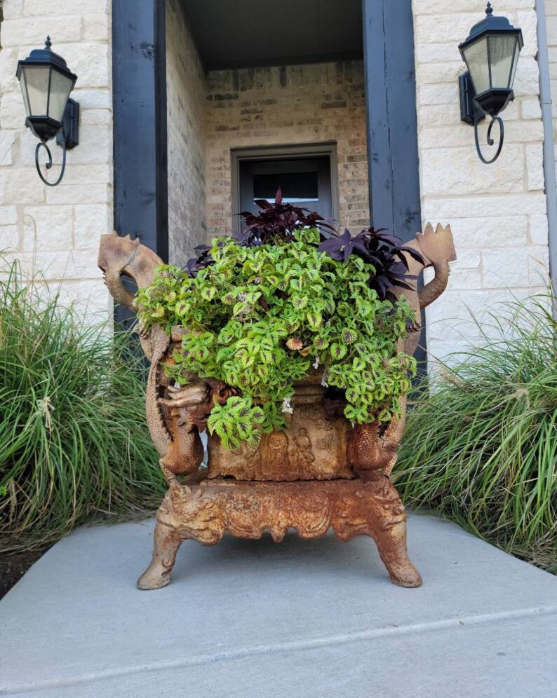 May include: A rusty metal planter shaped like a dragon with green and purple plants growing inside. The planter is sitting on a concrete step in front of a brick building.