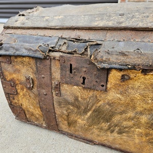 18th Century French Parisian La Forest Wood & Hide Dome-Top Travel Horse Carriage Trunk Antique Storage Blanket Chest image 3