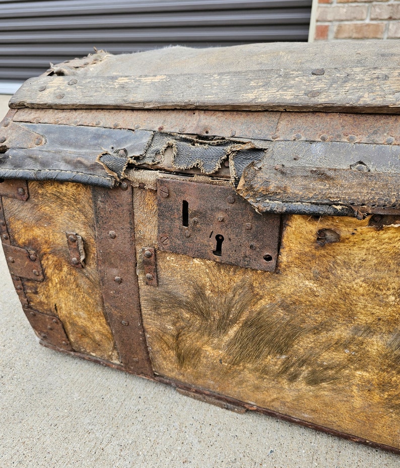 18th Century French Parisian La Forest Wood & Hide Dome-Top Travel Horse Carriage Trunk Antique Storage Blanket Chest image 3