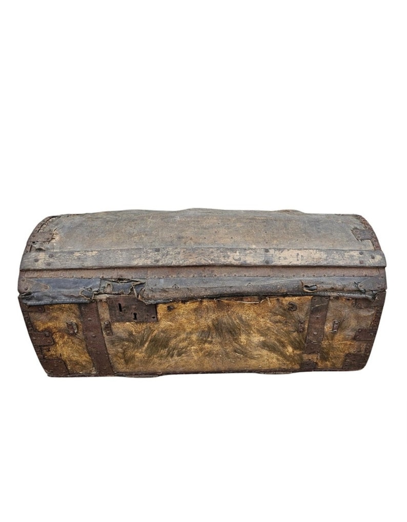 18th Century French Parisian La Forest Wood & Hide Dome-Top Travel Horse Carriage Trunk Antique Storage Blanket Chest image 1