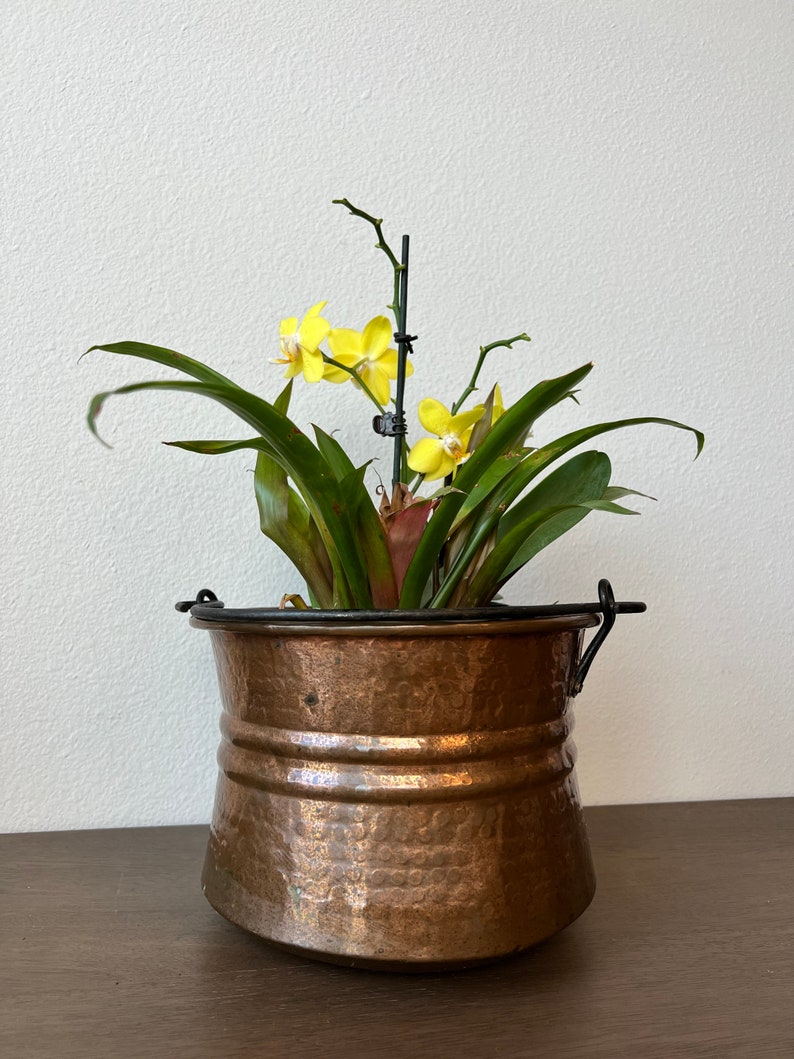 19th Century Hammered Copper Kettle Pot With Iron Handle Antique Cauldron Wine Chiller Ice Bucket Planter image 9