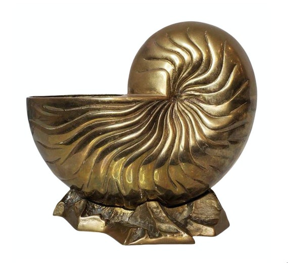 Large Vintage Modernist Brass Nautilus Sea Shell Sculpture, Vase, Wine  Cooler, Ice Bucket, Planter, Cachepot, Hamptons Coastal Decor -  Canada