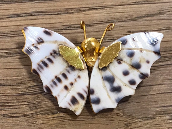 Vintage 1960s conch shell butterfly brooch pin