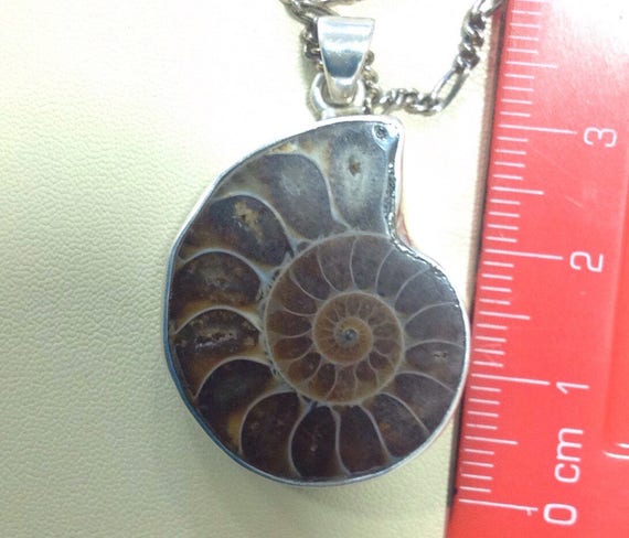 Vintage Solid silver Ammonite fossil pendant on 18 inch 925 sterling silver chain