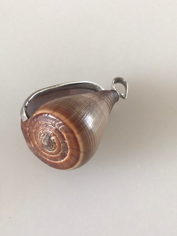 Vintage silver banded sea shell pendant