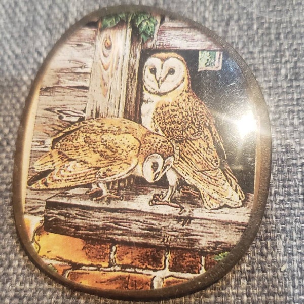 Vintage handmade upcycled Eyeglasses lens into naturalist style owl print brooch
