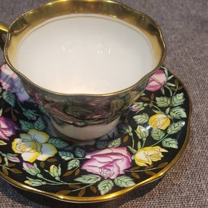Rosina Hand Painted Cup And Saucer Fine Bone China