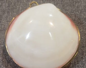 Vintage shell coin purse