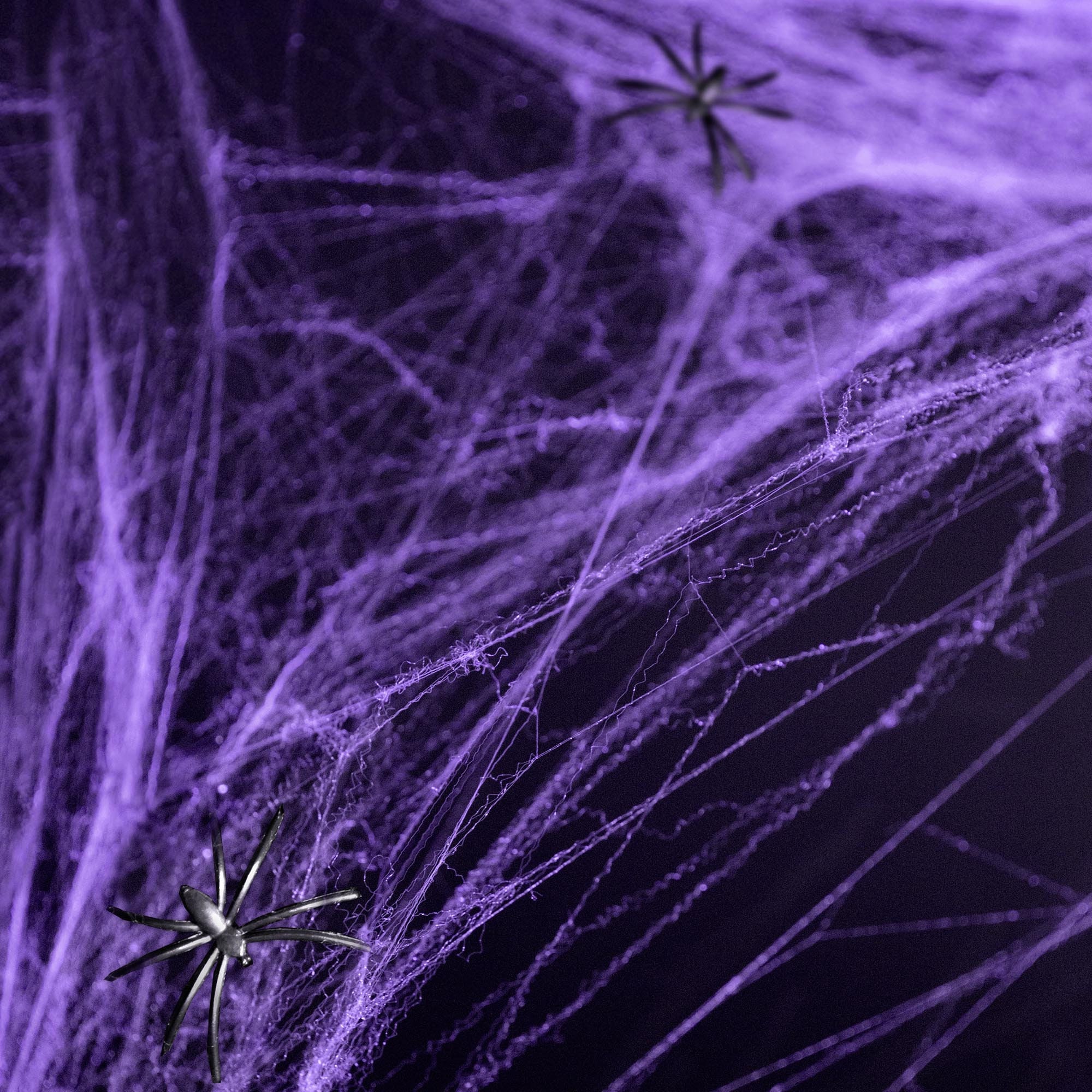 Lighted Halloween Garland in Black & Purple Leaves, LED Fairy