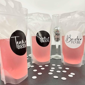 TEAM BRIDE / BRIDE Drink Pouches With Straws - Reusable, Hen Party Favours, Hen Do, Gift Bag Fillers, Bridal Party Gift, Bachelorette Party