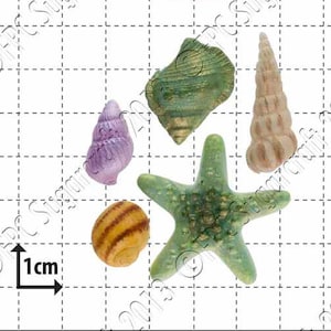Beach silicone mould (mold) - 'Starfish & Shells' by FPC Sugarcraft | resin mold, fimo mold, polymer clay mold, soapmaking mold, B009