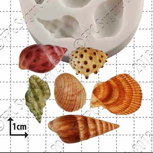 Shells silicone mould (mold) - 'Sea Shells' by FPC Sugarcraft | resin mold, fimo mold, polymer clay mold, soapmaking mold B020