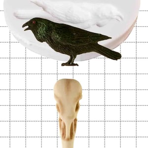 May include: A silicone mould for baking a raven and a skull. The mould is white and shows the outline of a raven and a skull. The raven is black with a red eye. The skull is white and has a long beak.