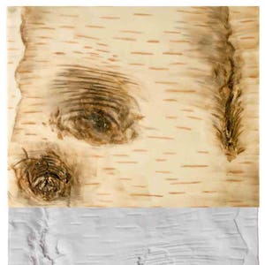 May include: Close-up of a birch wood texture with a knot in the centre. The top half of the image shows the natural wood grain, while the bottom half shows a white painted version of the same wood.