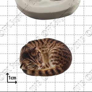 Stampo in silicone a forma di gatto - &#39;Gatto addormentato&#39; di FPC Sugarcraft / stampo in resina, stampo in fimo, stampo in argilla polimerica, stampo per la fabbricazione del sapone C083