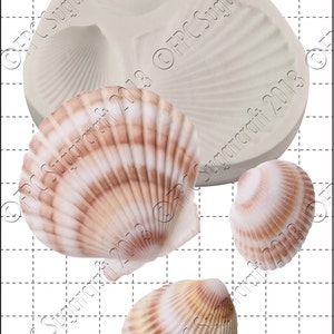 Shells silicone mould (mold) - 'Large Shells' by FPC Sugarcraft | resin mold, fimo mold, polymer clay mold, soapmaking mold C170
