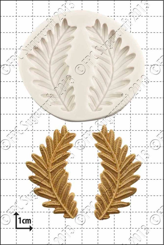 fensterbltter Monstera Deliciosa Variegata  Foliage Dreams