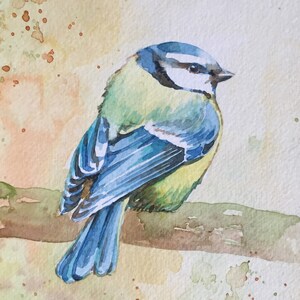 オリジナルの水彩画の青い鳴鳥の絵画