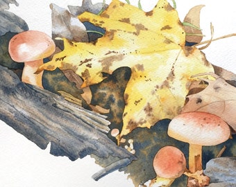 Mushroom and Foliage Forest Floor Original Watercolor Painting - Microscape - Nature Art Leaves Vignette - 9x12