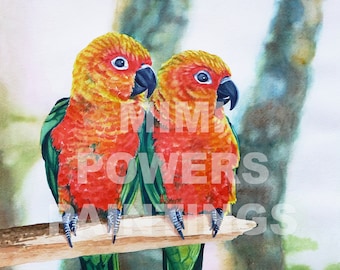 Lovebirds | Print of myOriginal Watercolor Painting of two Sun Parakeet Birds | Tropical Decor