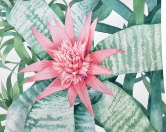 Pintura de bromelia rosa - Impresión de calidad artística de mi acuarela original