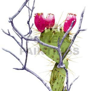 Grand Canyon Prickly Pear Cactus Watercolor Print - Original Painting
