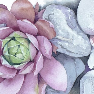 Echeveria Succulent Plant Watercolor Print - Original Wall Art