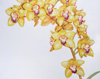 Original Watercolor Painting of a Yellow Orchid Flower - Botanical Art, Home Decor