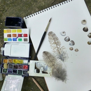 Original Watercolor Painting of Shells and Feather with Mat image 2