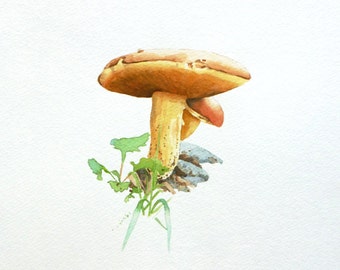 Original Mushroom Watercolor Painting 8x10 w/ Mat 11x14 - Fungi Kitchen Decor Mycology Forest Nature Art Fairytale