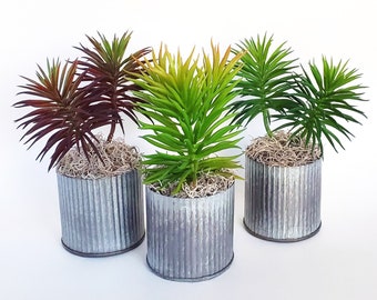 Faux Succulent Planters Set, Rustic Galvanized Farmhouse Planter Arrangement, SET OF 3 Realistic Artificial Spiky Desert Plants, Fall Decor