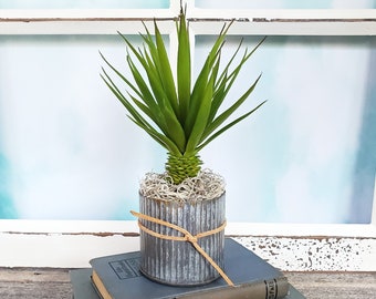 Farmhouse Succulent, Faux Yucca in Rustic Galvanized Planter, Realistic Artificial Green Plants, Desert Cactus in Metal Pot