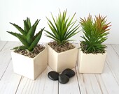Faux Spiky Artificial Succulents in Ivory Planters, SET OF THREE Fake Succulent Arrangement, Spring Greenery, Cactus Gift, Kitchen Decor