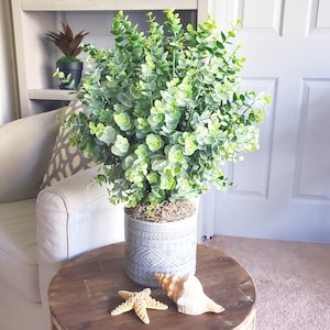 May include: A potted artificial eucalyptus plant with green leaves in a gray ceramic planter with a geometric pattern. The plant is sitting on a wooden table with a seashell and a starfish.