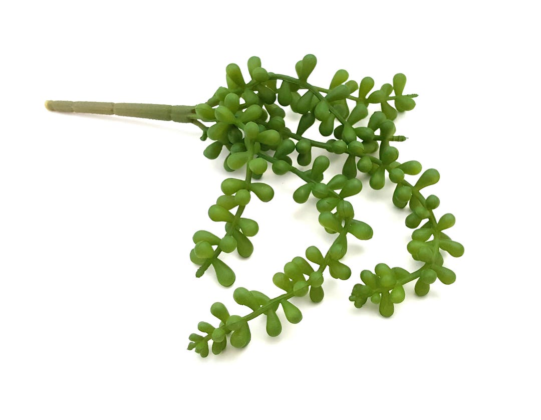 Faux String of Pearls Succulent, Five Strands, 11 Inch Green Artificial