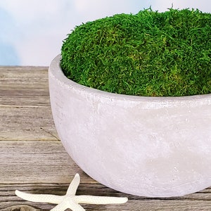 Macomine Design Newly Released Moss Bowl |12 Diameter | Artificial |  Hand-Painted Cement Bowl | Home Décor