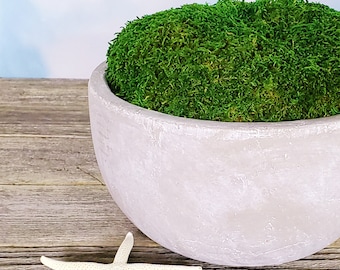 Rustic 8" Concrete Moss Bowl Centerpiece