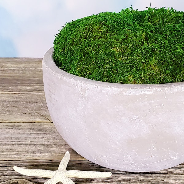Moss Centerpiece Etsy