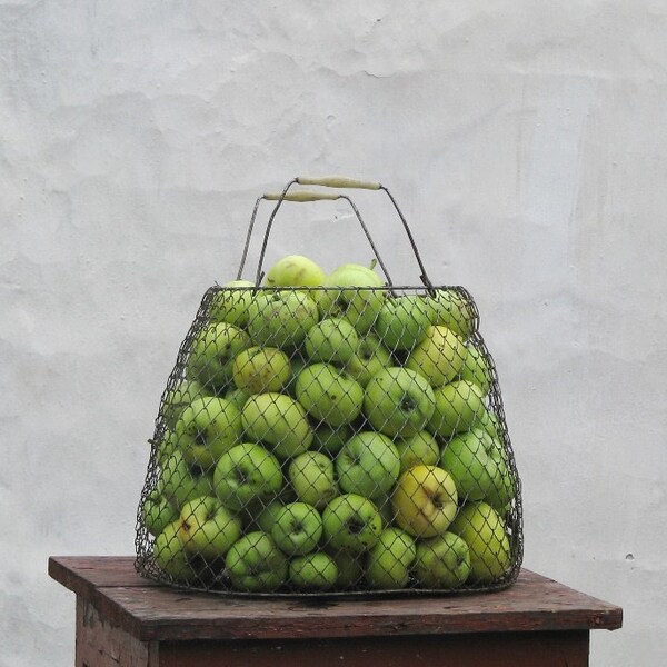 Vintage metal wire basket - Egg fruits basket - Made in USSR, Soviet era