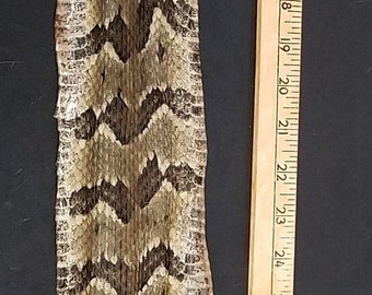 Rattlesnake Skin | Etsy