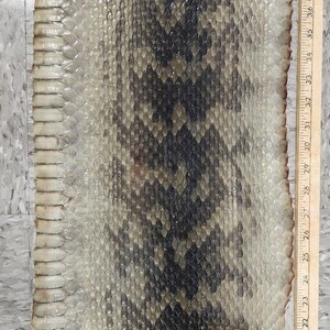 May include: A long, flat, tanned snake skin with a repeating dark brown and black diamond pattern along the centre and lighter cream-coloured scales on the sides. A wooden ruler is placed alongside, showing a length of approximately 61 centimetres.