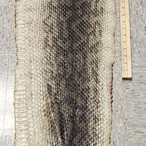 May include: A long, tanned snake skin featuring a dark, diamond-shaped pattern running down the centre, flanked by lighter, textured scales. A wooden ruler placed alongside the skin indicates a length of approximately 91 cm for that section.