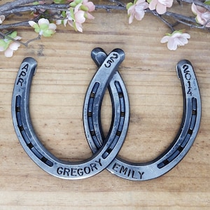 Personalized Gift for Horse Lovers, Wedding Gift, Anniversary Gift, Gift for the Couple