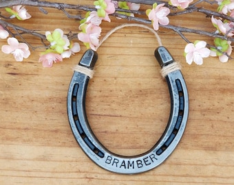 Sympathy Gift, Loss of Horse, Engraved Horseshoe, Personalized Western Decor