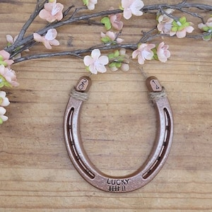 Personalized Copper Gift, Copper Anniversary Gift, 7th Anniversary Gift, Gift for the Couple, Copper Horseshoe