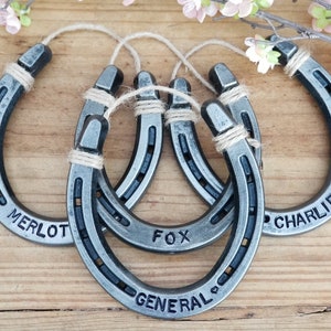 Engraved Horseshoe Wall Hanging, Gift For Equestrians, Stall Sign image 6