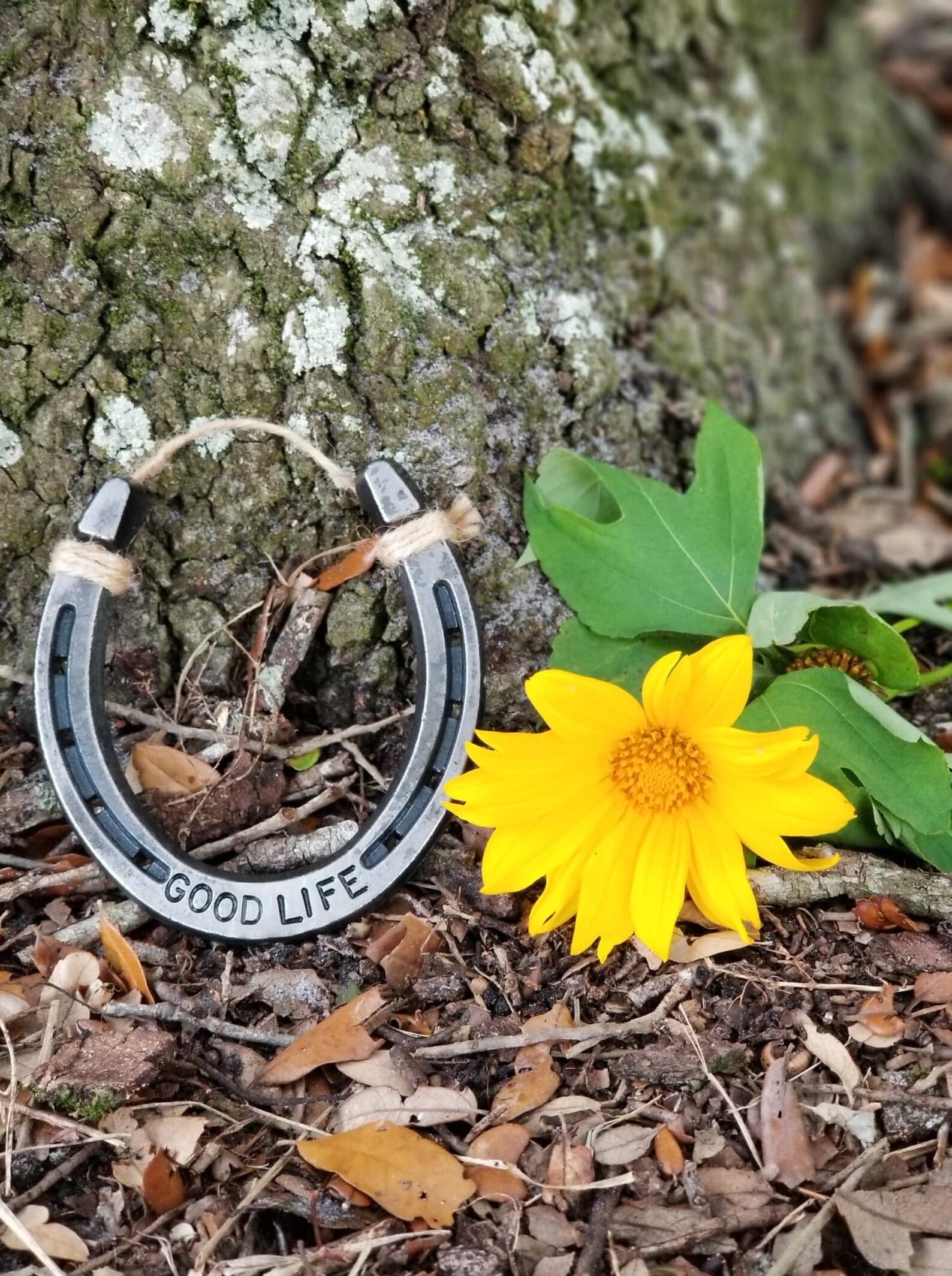 Decorative Horseshoe Horseshoe Art Horseshoe Decor Gift for Etsy