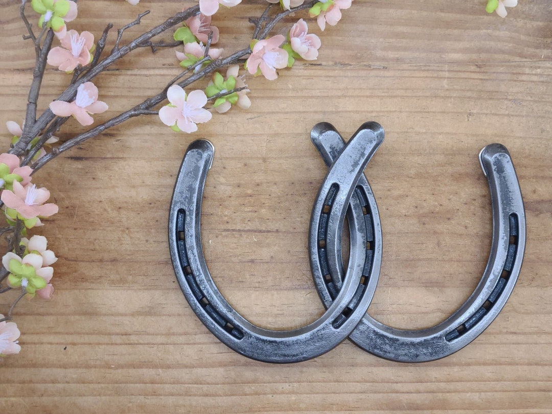 Linked Horseshoe Wall Hanging, Anniversary Gift, for Horse Lovers