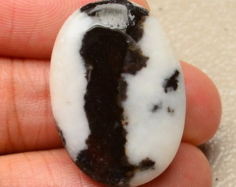 25mm à la main sculptée, Zebra Jasper 25mm Pierre Cabochon